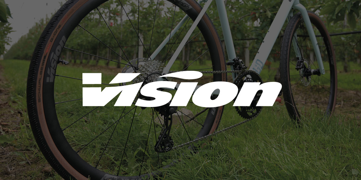 Vision