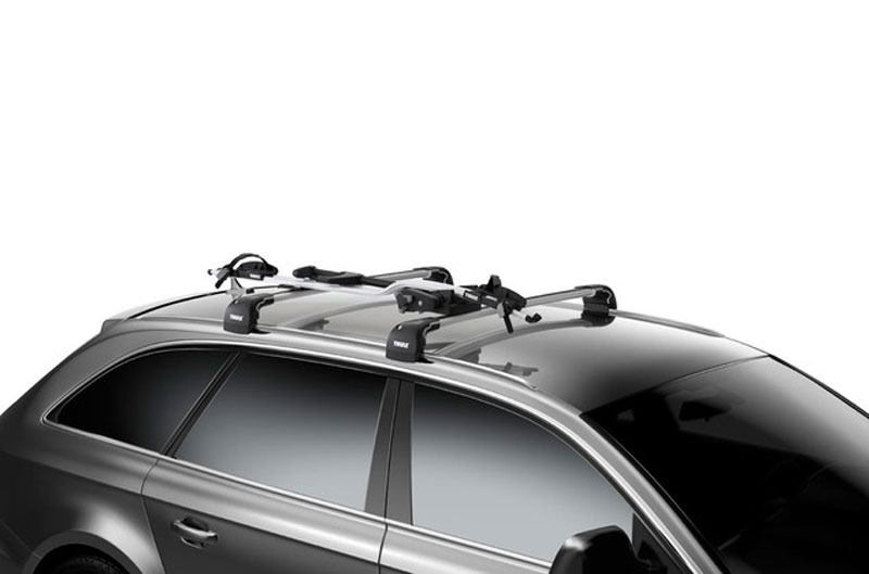 Thule_Dach-Fahrradträger-ProRide-598_silber_598001_d.jpg