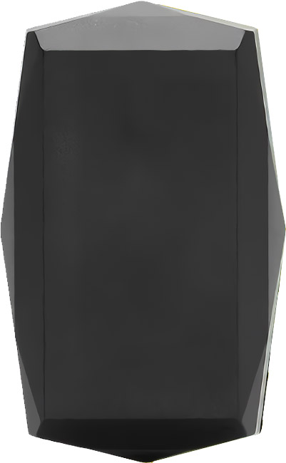 81000-Gemstone-GPS-Tracker(1).jpg