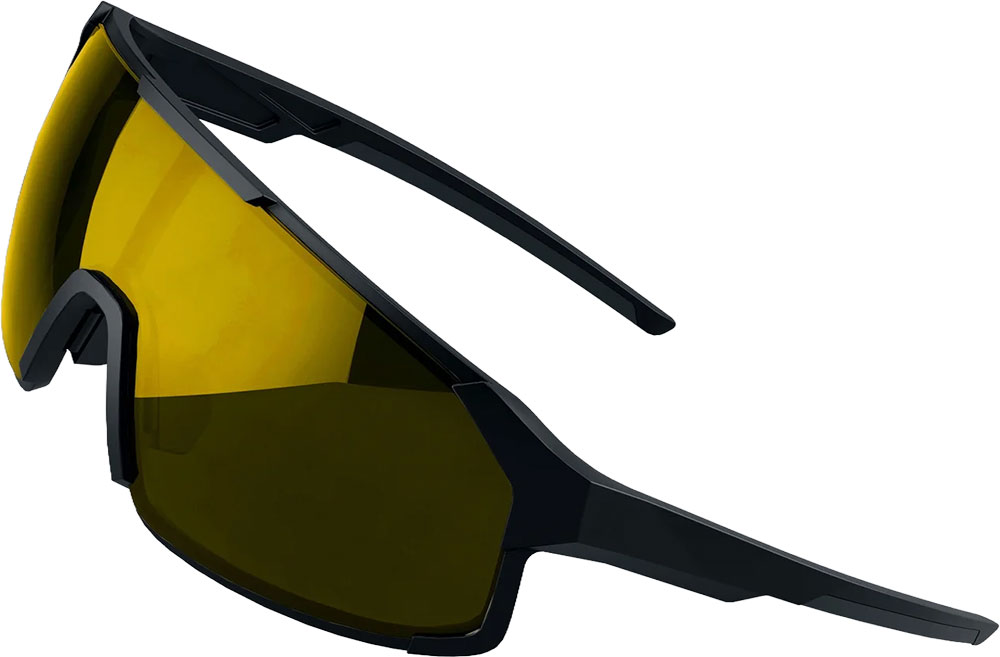 Specs 02 black/gold - Sportbrille