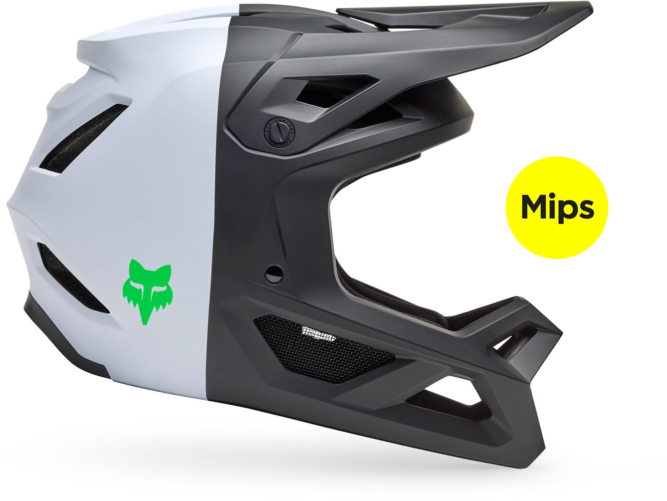 33693_018_MIPS.jpg