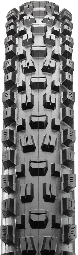 Maxxis-Assegai-(2).jpg
