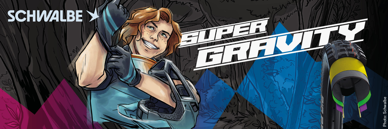 schwalbe_decade_of_super_gravity.jpg