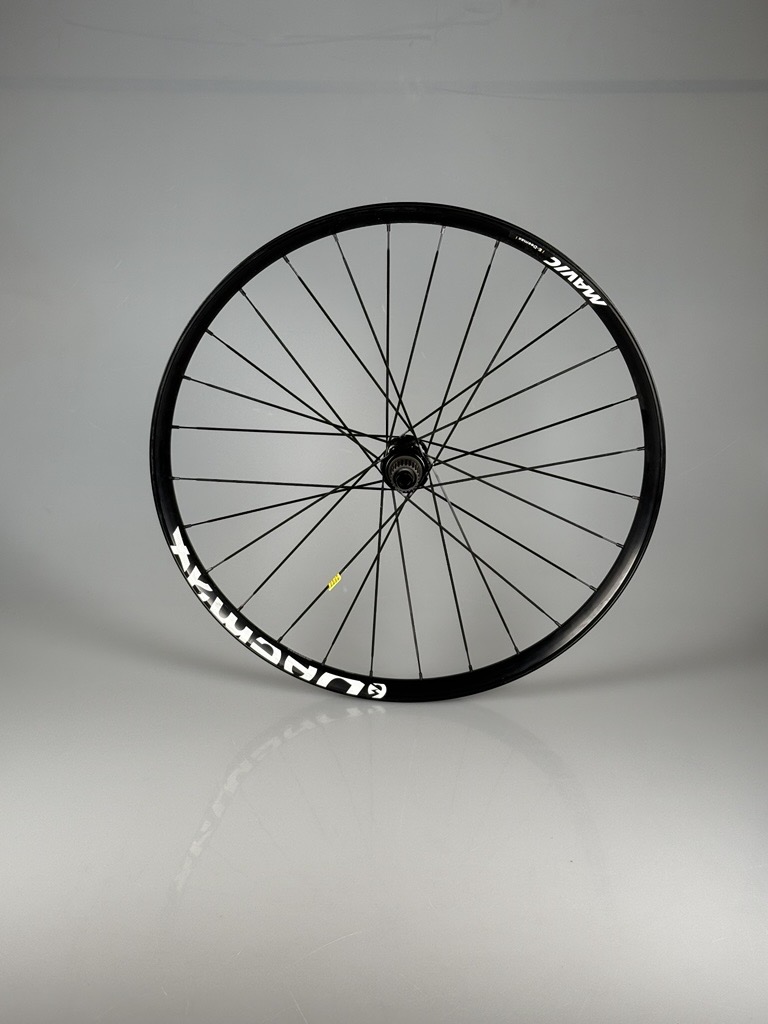 PRODOTTO DI SECONDA MANO / E-Deemax 30 29" CL Boost ruota anteriore 