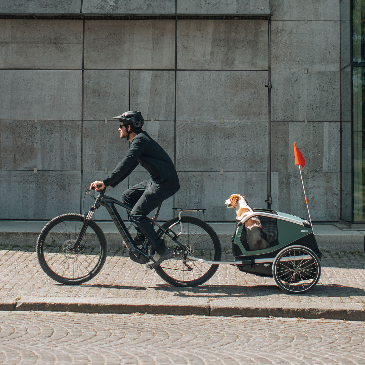 Bexey M remorque pour chien