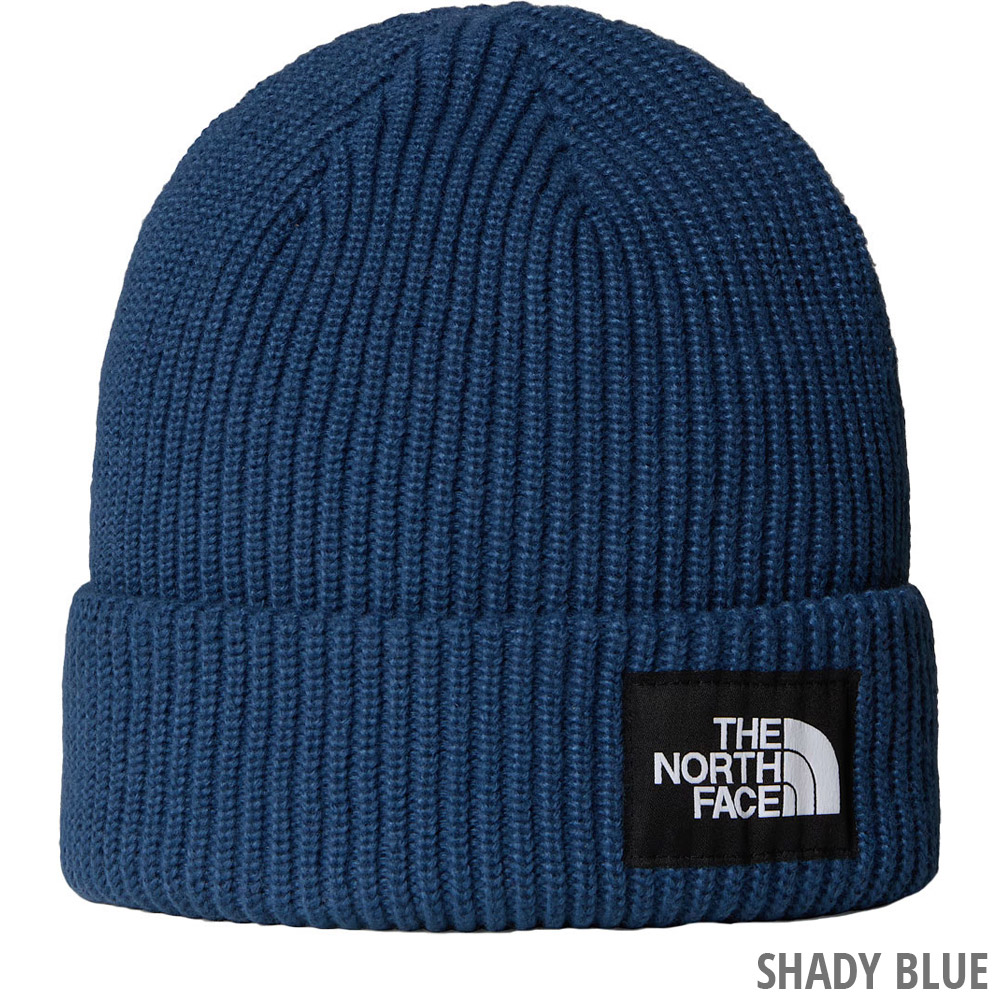 TheNorthFace_NF0A8CGZ-shady-blue.jpg