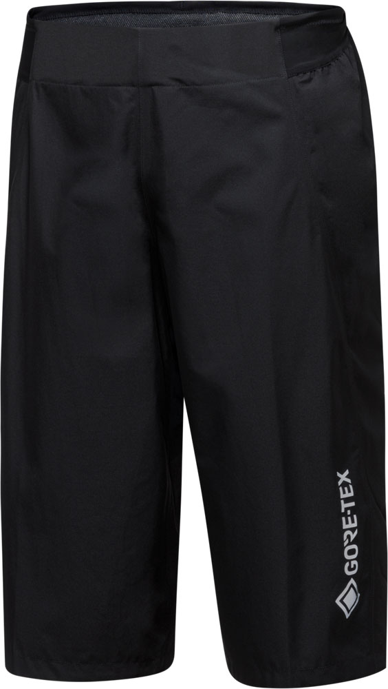 GOREWEAR_Endure-Gore-Tex-Paclite-Regenshorts_1010129900_3.jpg