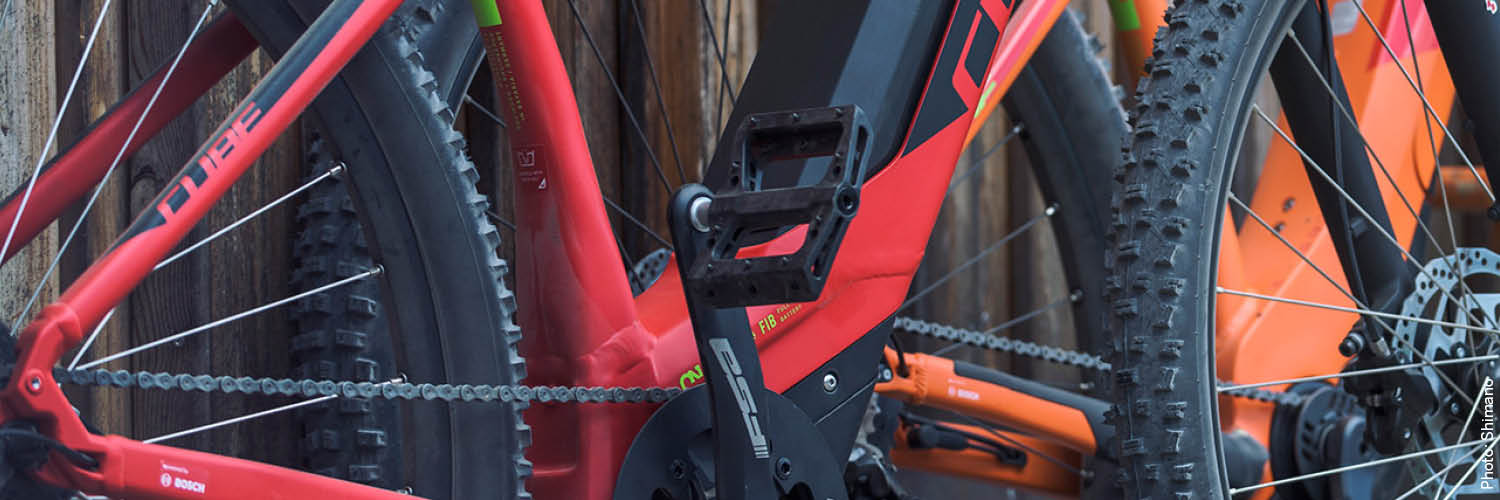 teile_e-bike_pedale.jpg