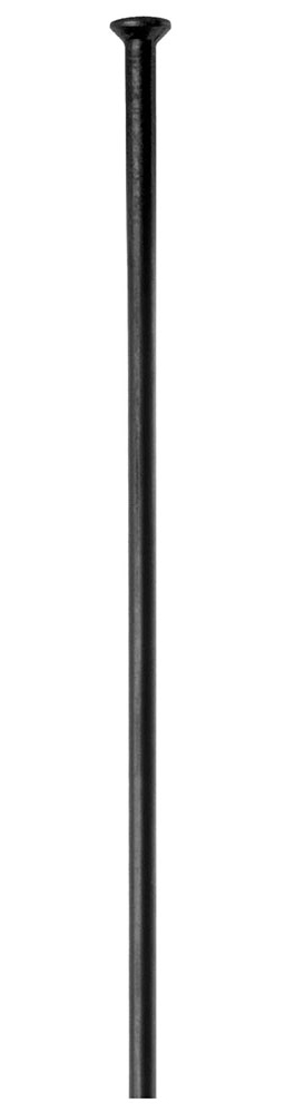 Champion®-Straightpull-Speichen-2.0-(100-Stück).jpg