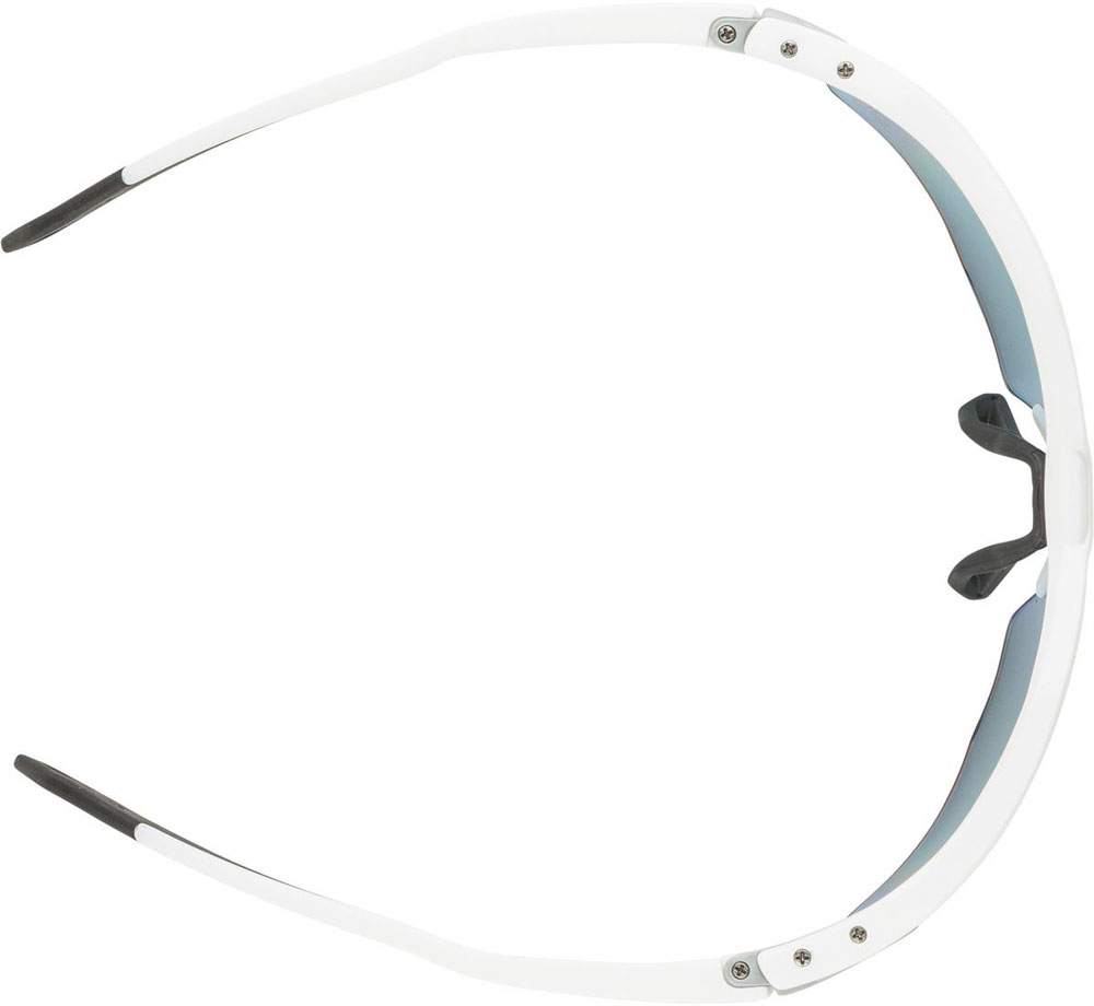 Alpina_A8727511_TwistSix_Sportbrille_ (2).jpg