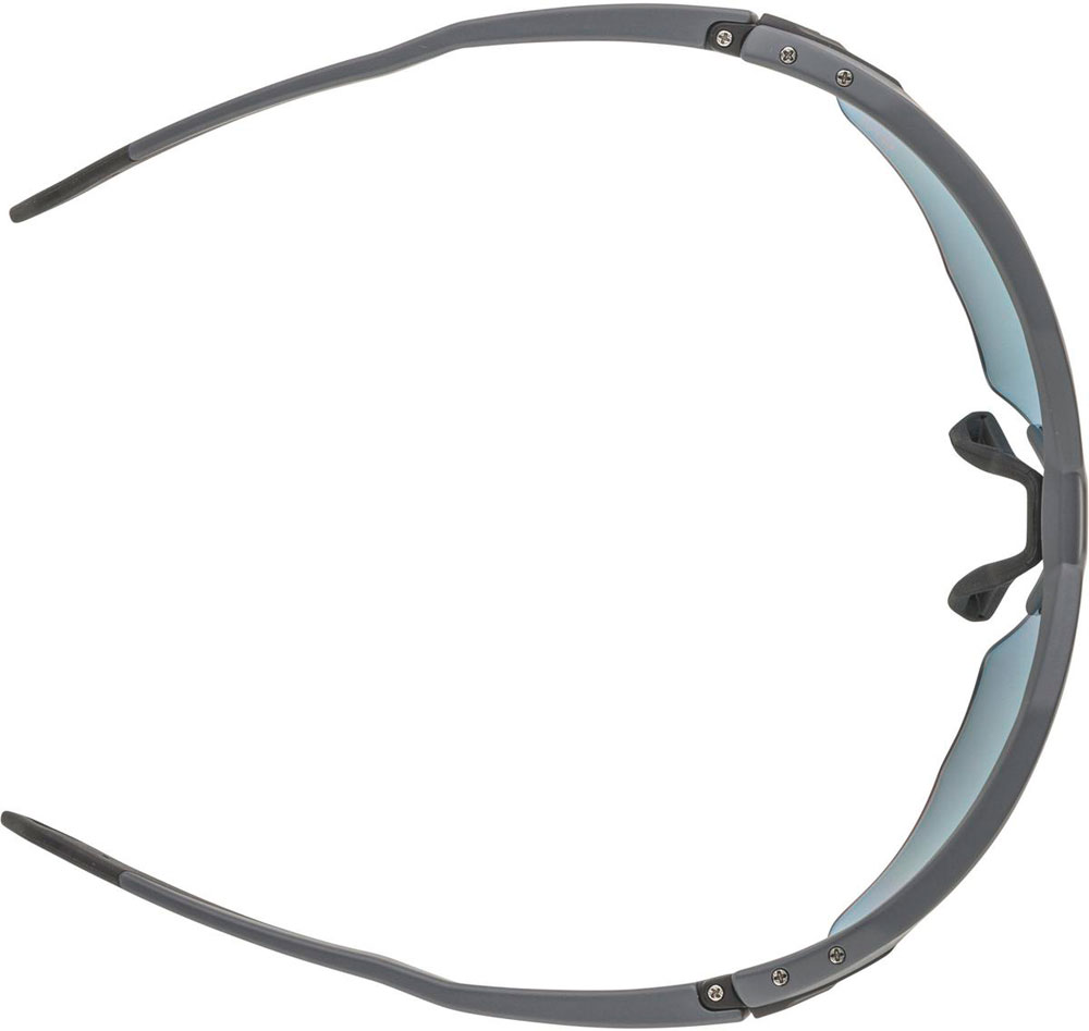 Alpina_A8718521_TwistSixHRQV_Sportbrille_ (2).jpg