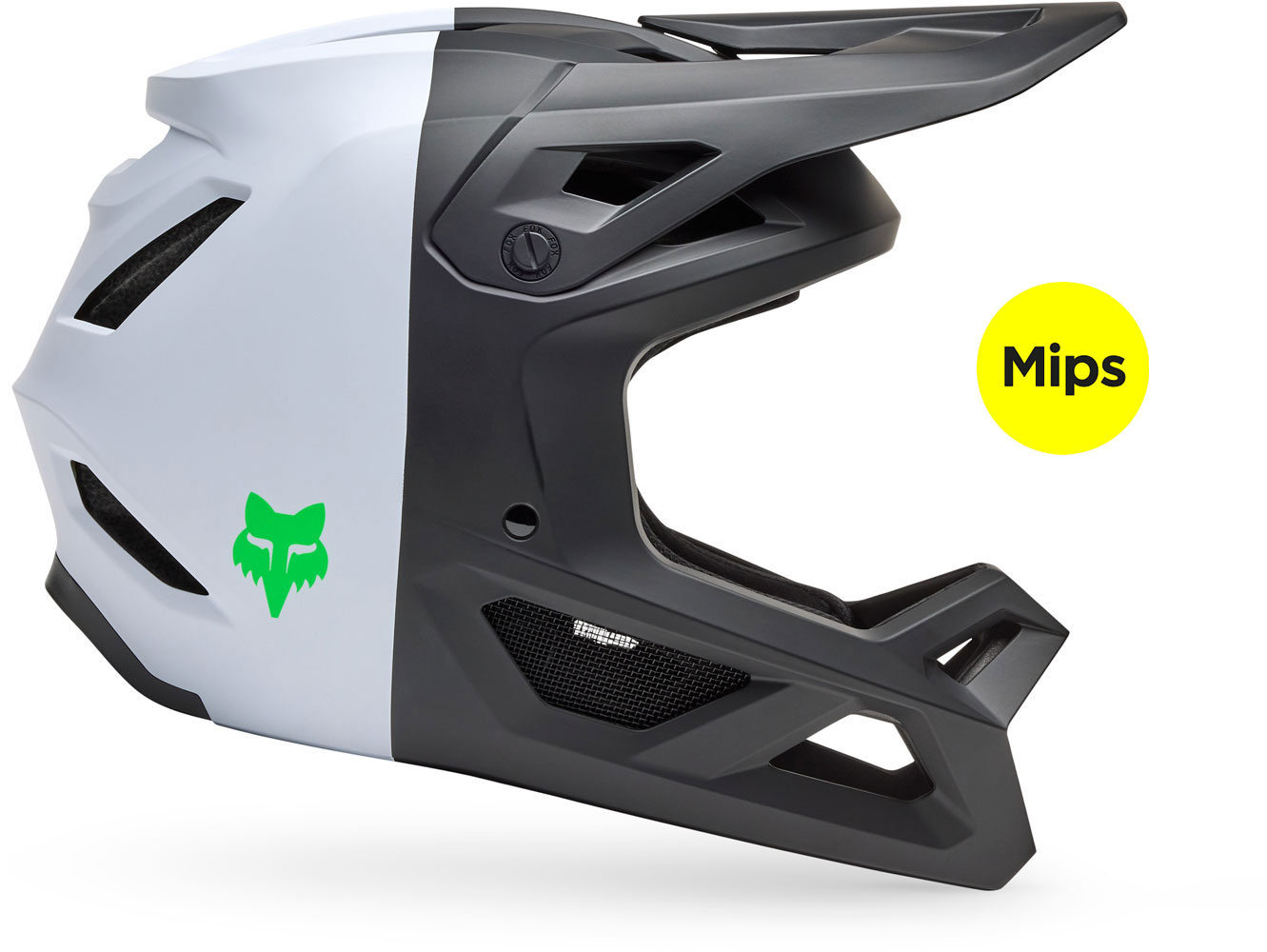 33695_018_MIPS.jpg