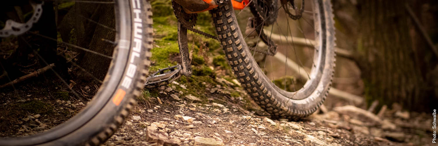 teile_mtb_reifen.jpg