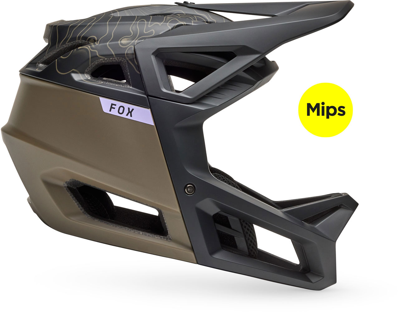 33479_373_MIPS.jpg