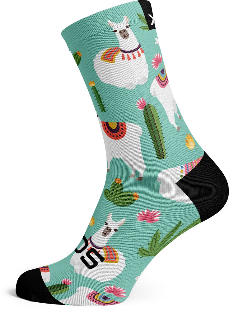 SOX00022M (1).jpg