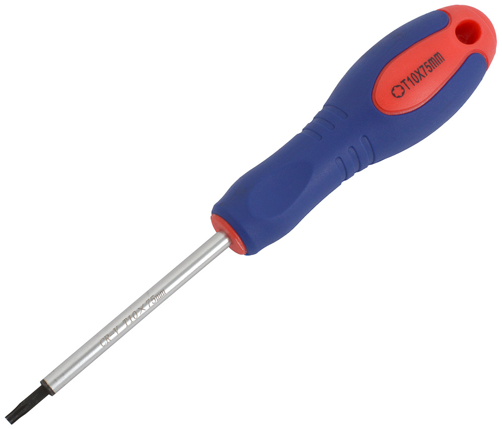 Radon_TORX Schraubendreher_20062296-T10 .jpg