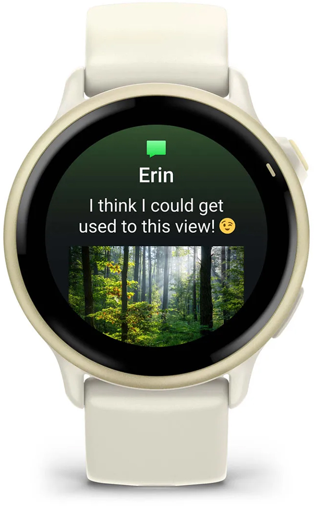 garmin 010-02985-00 20157160 Vivoactive® 6 - GPS Fitness Smartwatch  (29).jpg