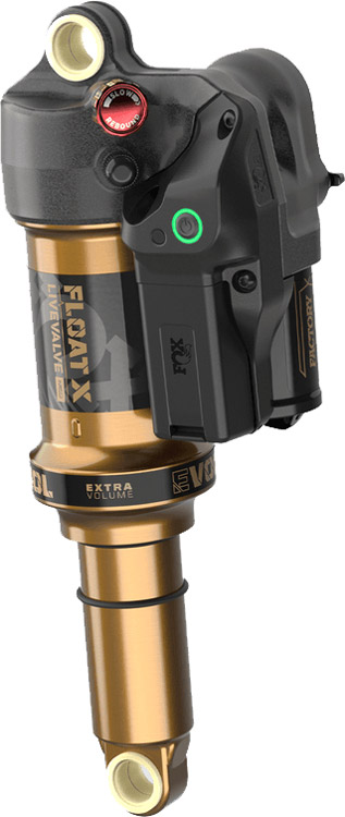 973-01-354-Float-X-LiveValve-Neo-Dämpfer(2).jpg