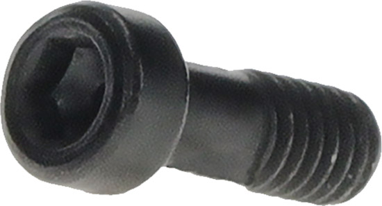 EB1320004K-Schraube-M4x10,5-für-Purion-400(1).jpg