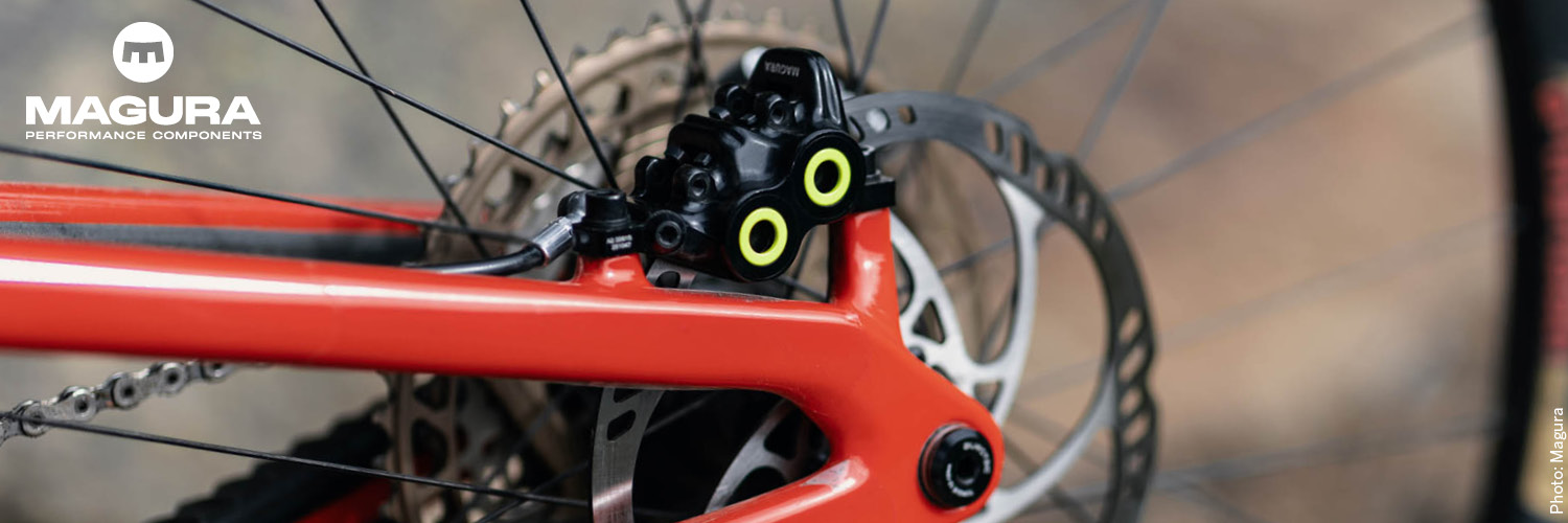 magura_mt5.jpg