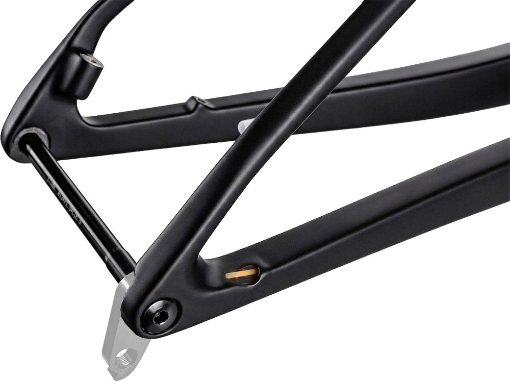 Cadre Specter 29" en carbone