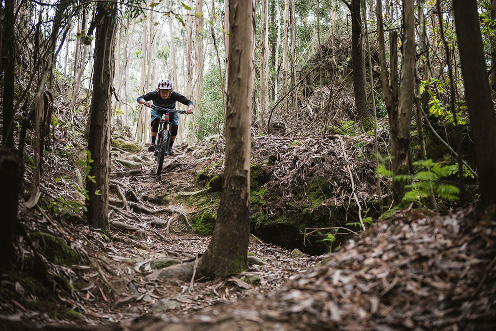 dirtlej_mountee-MTB-Trikot_20220054_ (5).jpg