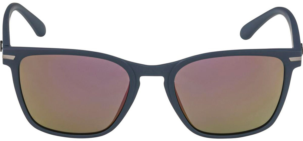 Alpina_A8737582_YefePolarized_Sonnenbrille_ (3).jpg