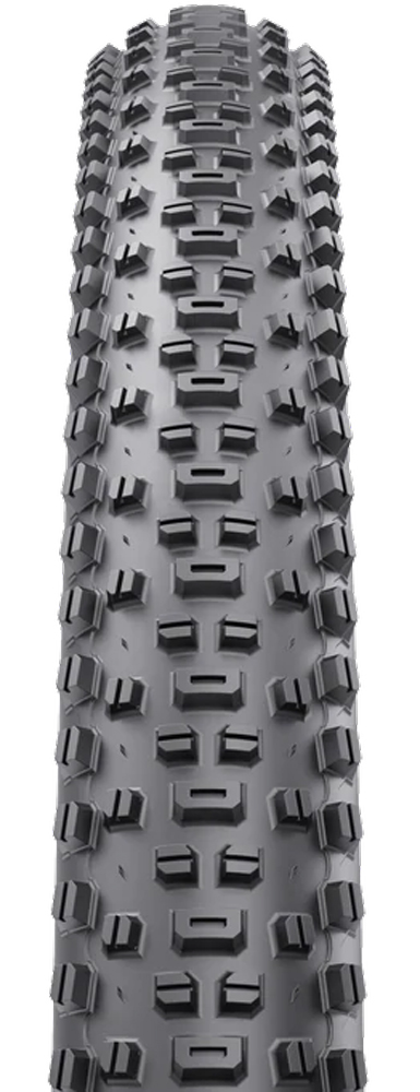 Ranger TCS SG2 29" 120tpi Faltreifen
