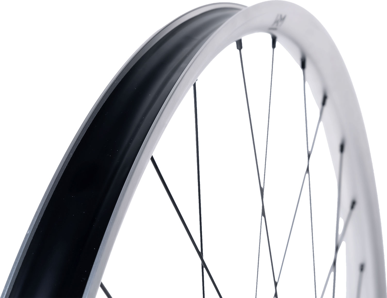 Beskar 30 strong 29" 6-Loch 12x148 FADE Silver LTD Hinterrad
